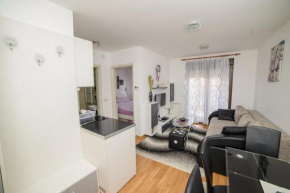 Гостиница Apartman Sinisa  Златибор